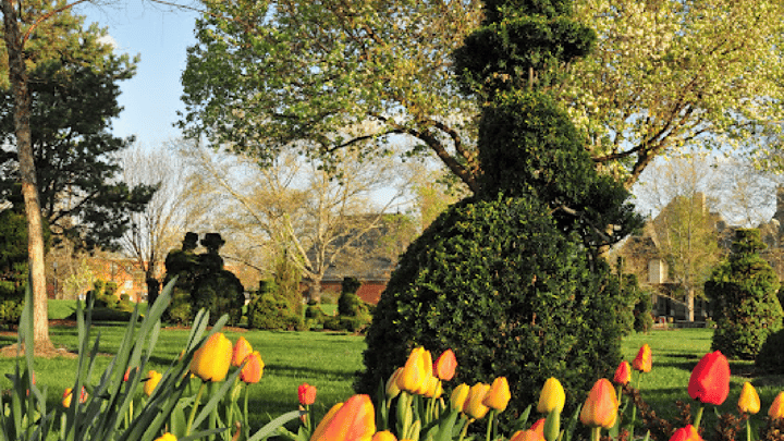 Art in the Park