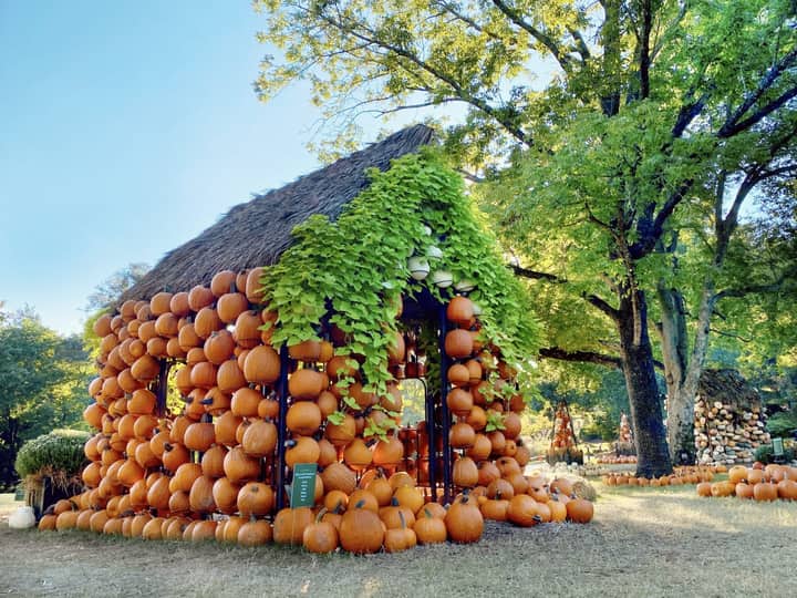 Cheekwood Harvest