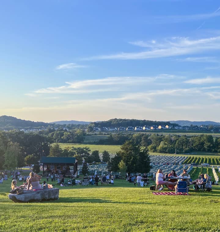 Jazz on the Hillside / Bluegrass at the Barn