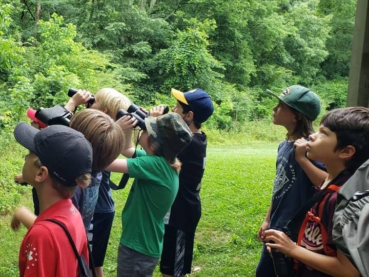 The Curious Naturalist