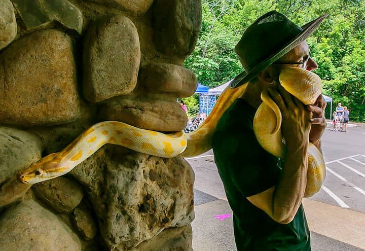 Snake Feeding at the Wilderness Station