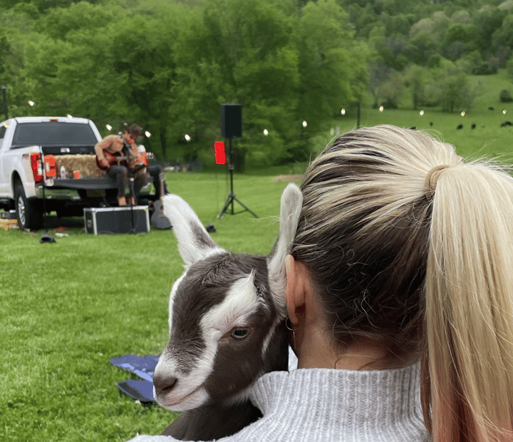 Goats and Guitars