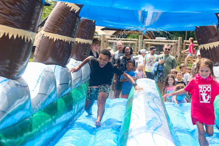 Summer Splash at Nashville Zoo