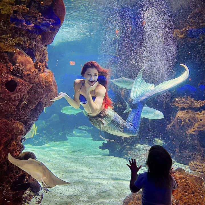 Mystic Mermaids Under the Sea Breakfast