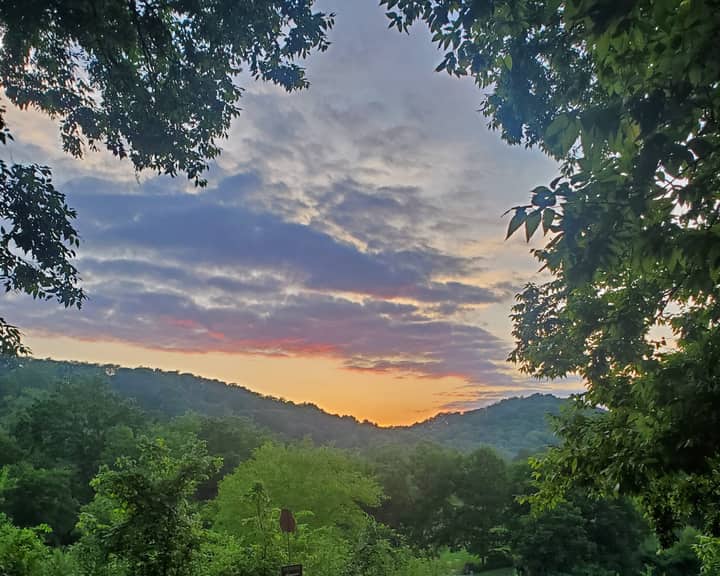 Summer Nights at Owl’s Hill