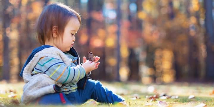 Learning for Littles