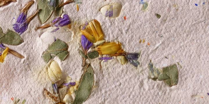 Coffee and Crafts: Seed Paper Making