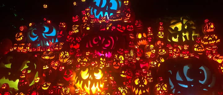 Pumpkins At Kentucky Kingdom
