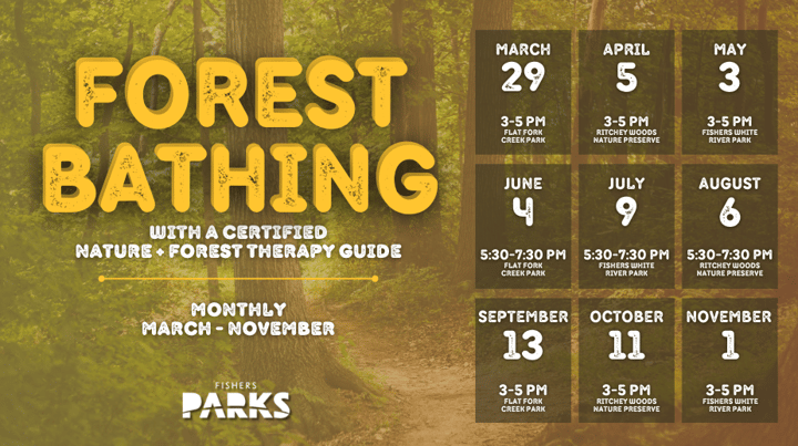 Forest Bathing