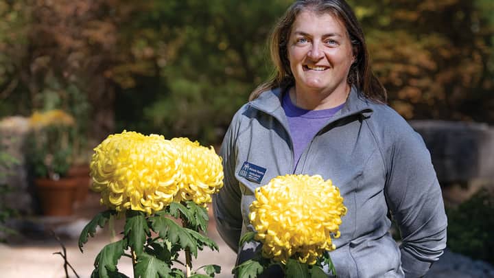 Mum’s the Word: Special Walking Tour of Show Chrysanthemums (Oct.)