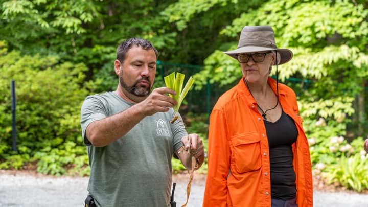 From One to Many: Plant Propagation Walk