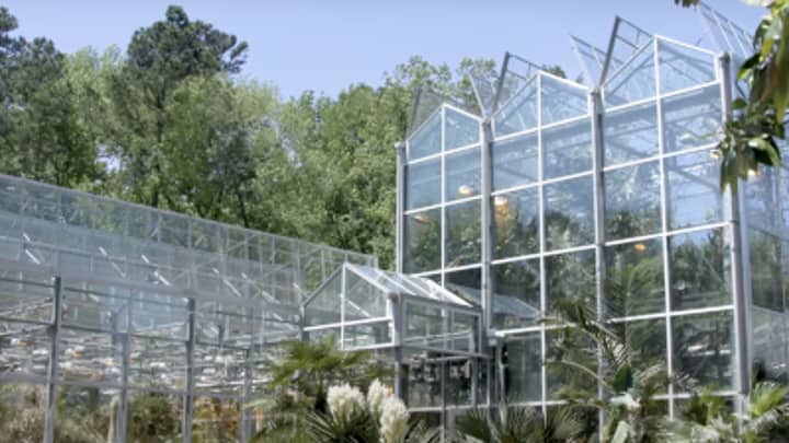 A World of Weird and Wonderful Plants: Duke Research Greenhouse Tour