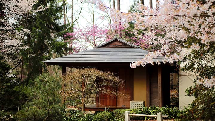 Japanese Tea Gathering: Kanna-zuki -1st seating