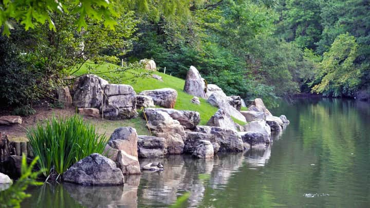 The Story of Stone in the Culberson Asiatic Arboretum