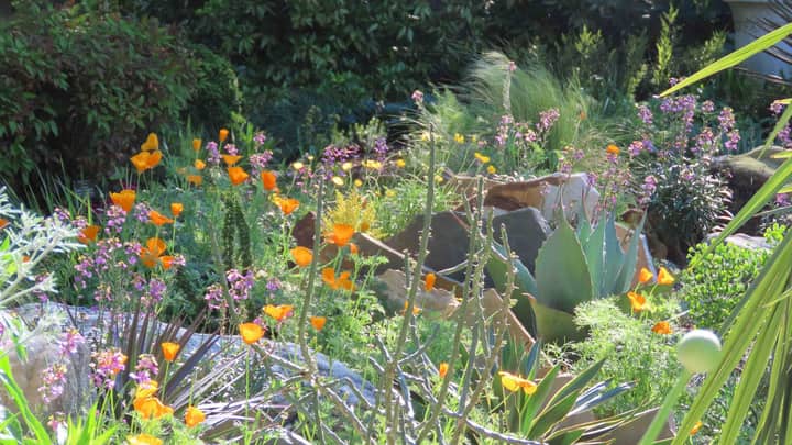 Botany Spotlight: Amazing Plant Adaptations to Terrestrial Environments