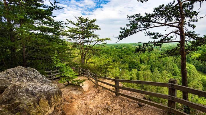 Botanizing at Occoneechee Mountain