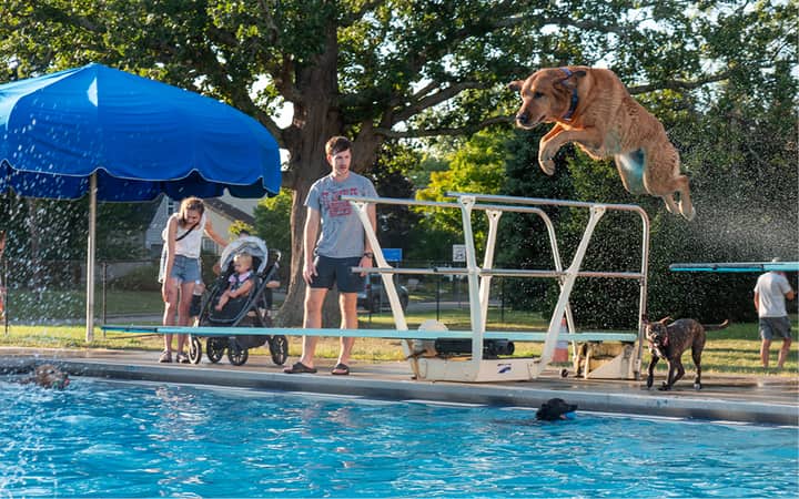 Doggie Dippin’