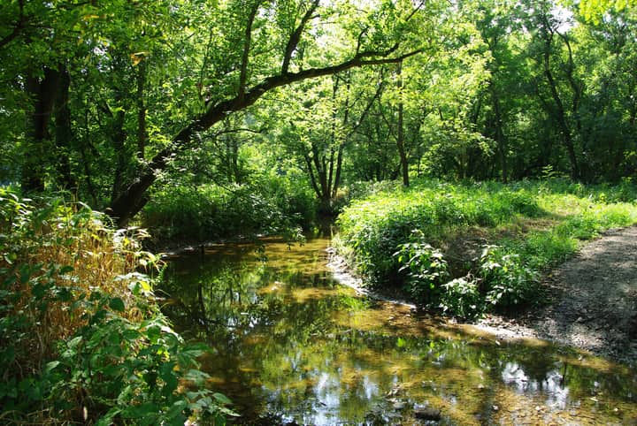 Hendricks County SWCD Watershed Walk