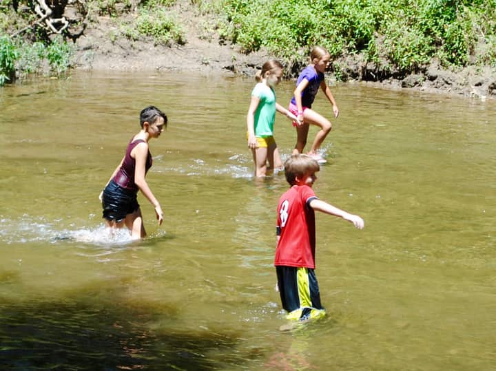 NATURE DISCOVERY: Seek at the Creek!