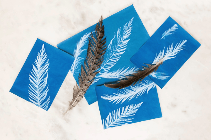 Sun Printing Workshop