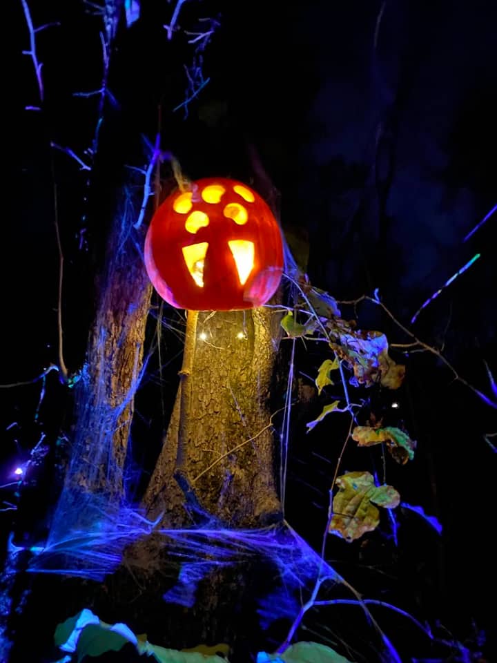 Halloween Night Hike