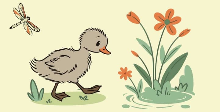 Ugly Duckling