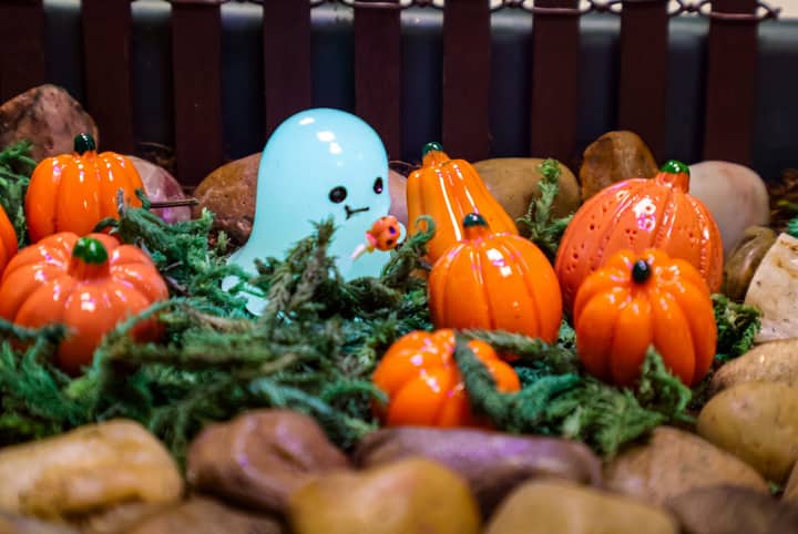 Spooky Garden Workshop