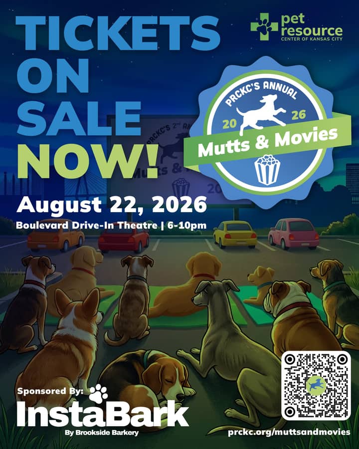Mutts & Movies