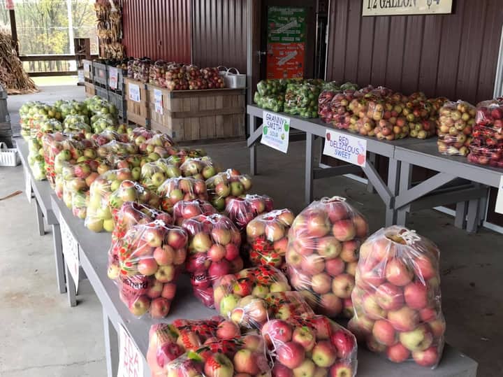 Apple Festival &amp; Craft Show