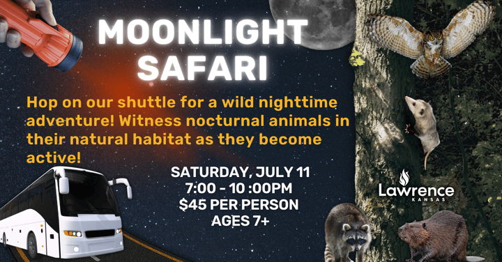Moonlight Safari