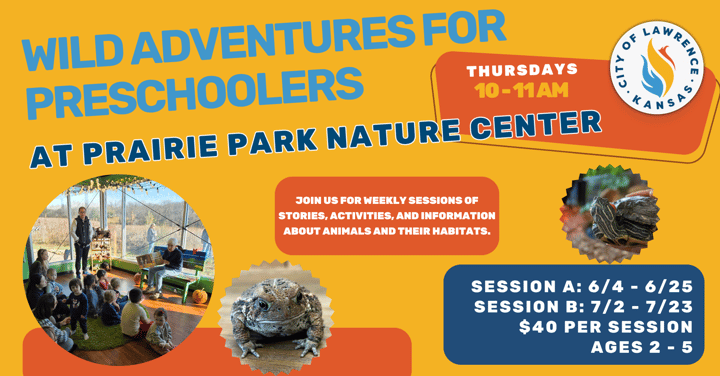 Wild Adventures for Preschoolers and Parents