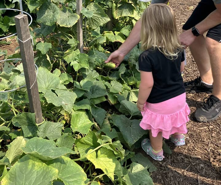 Childrenâs Garden Day