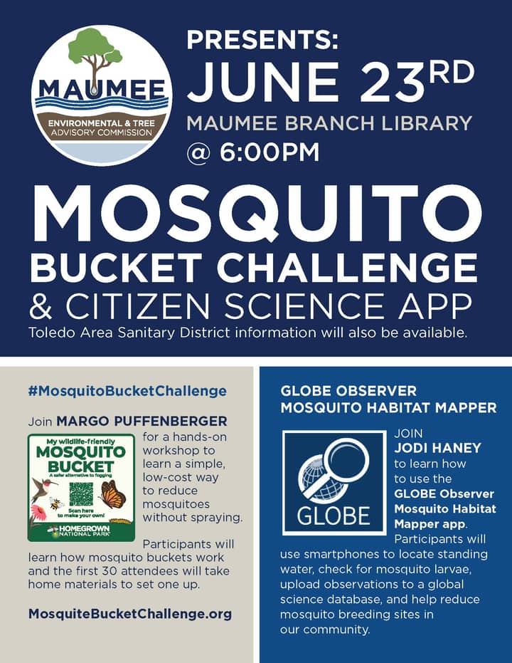 Mosquito Bucket Challenge