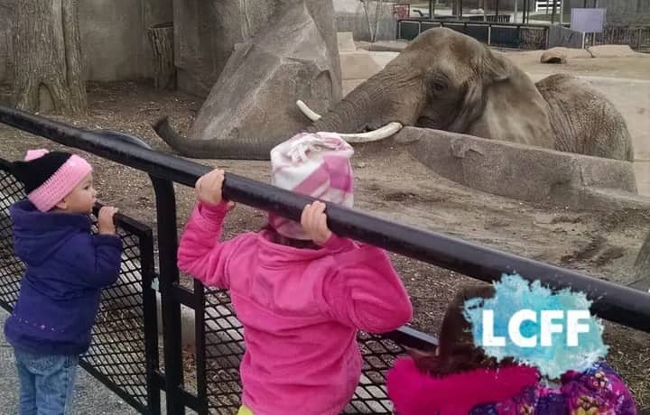 Milwaukee County Zoo Free Day