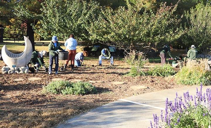 Horticulture Volunteer Workday