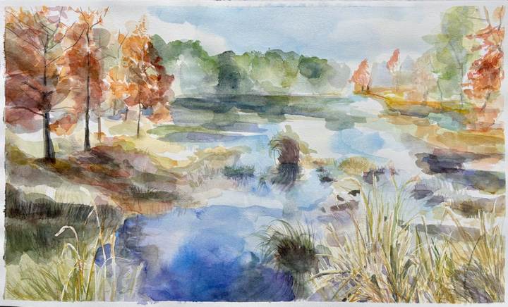 Nature(+)6: Beginning Watercolor