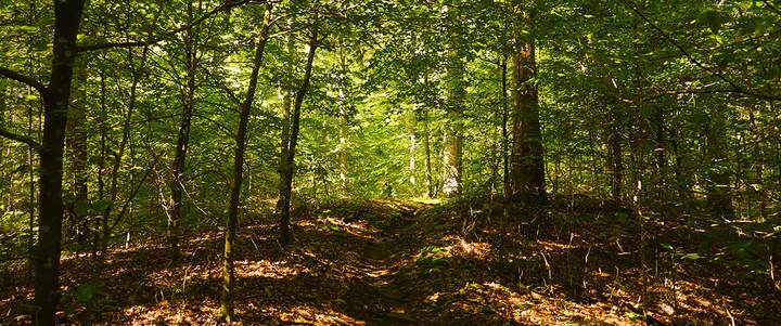 Teenage Homeschool Hike