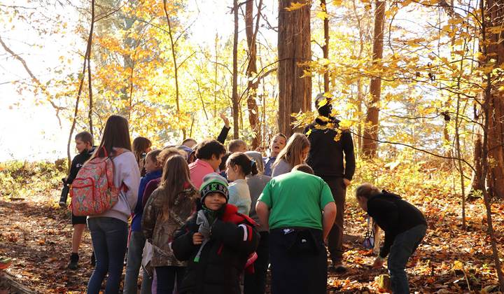 Forest Homeschool Hike: Seasonal Nature Walk