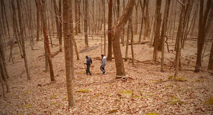 Midweek Nature Stroll