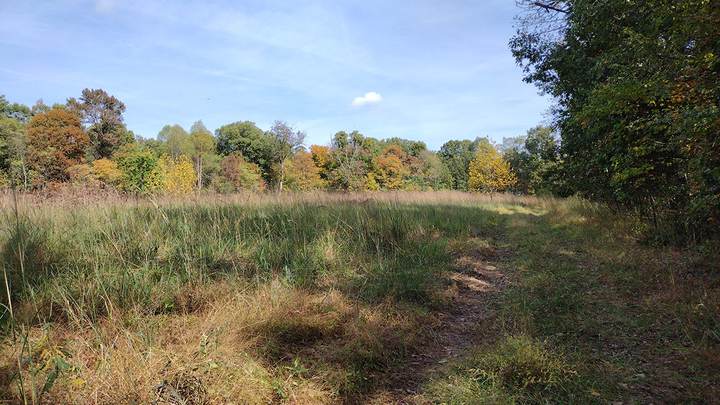 Rice Orchard Ridge Discovery Hike
