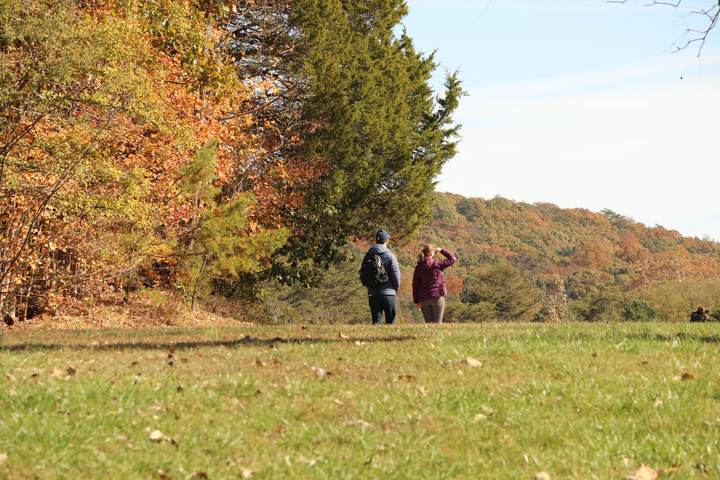 Third Sunday Nature Hike
