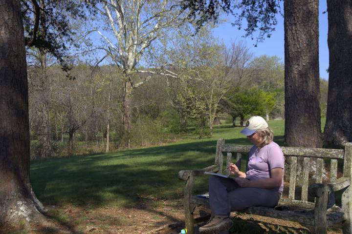 Nature(+)6: Beginning Observational Drawing