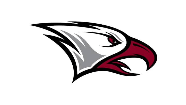 Elizabeth City State Vikings vs North Carolina Central Eagles
