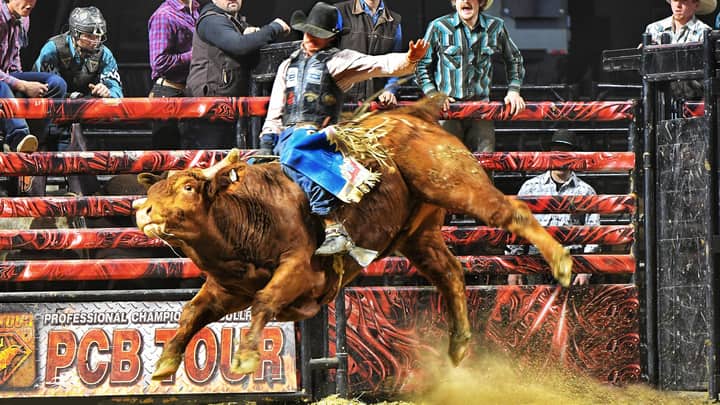 Professional Championship Bull Riders - Friday