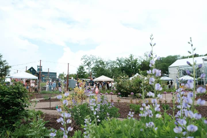 Field & Folk – Seasonal Market Series