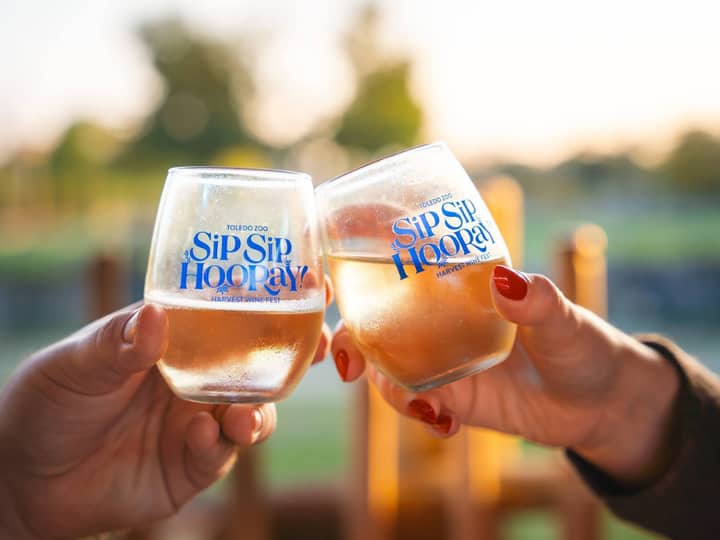 Sip Sip Hooray! Harvest Wine Fest