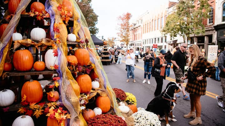 41st Annual Pumpkinfest | 2026