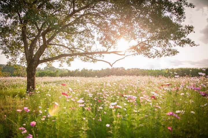 Seasonal Intentions Workshop