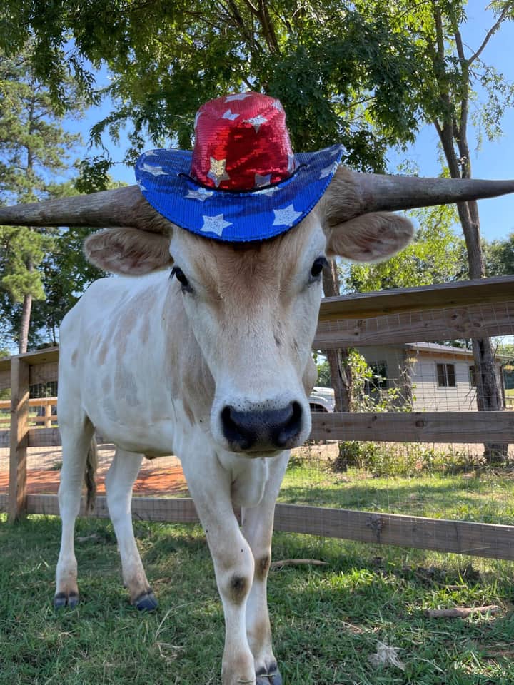 Family Farm Day: Fourth on the Farm