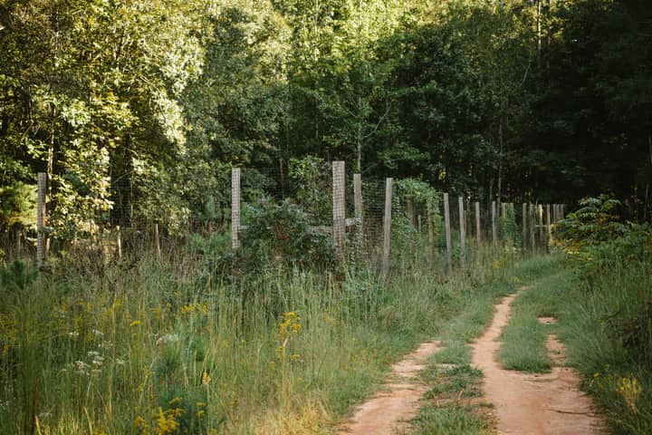 Orienteering